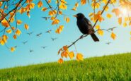 top 5 spectacular bird species to discover in the uk this november 1761980506