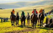 ultimate guide to the 2025 26 irish point to point racing calendar 1762996865