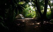 aitchs surprising departure from im a celebrity leaves viewers stunned 1765096363