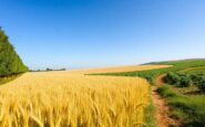 comprehensive guide to agricultural land classification guidelines in england and wales 1765696720