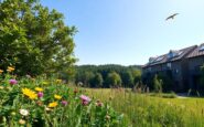 enhancing nature recovery initiatives in the uk how the planning and infrastructure act is making a difference 1766226287