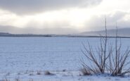 uk weather forecast anticipating arctic winds and snow showers ahead 1766852174