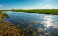 uncovering hidden dangers to water quality beyond sewage 1765475990