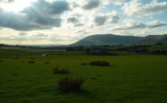 wales council rejects proposal for new national park what it means for conservation 1765147389