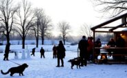experience the cozy winter delights and exciting activities in cheshire east 1767653457