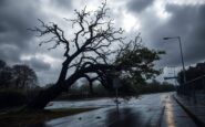 severe weather alerts and disruptions from storm goretti what you need to know 1767920813