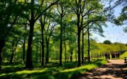 sustainable forestry practices in england key strategies for a thriving ecosystem 1769815605