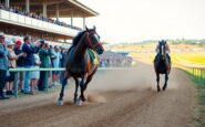 todays top betting picks and racing tips your ultimate guide 1769098607