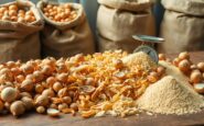 uk dried onion imports 2026 a comprehensive analysis and overview 1768975788