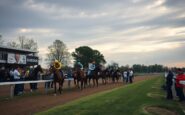 uncover todays best racing tips and top bets in marlborough 1767444282