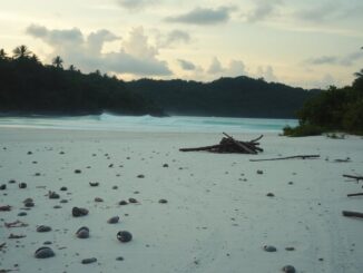 discover the unique adaptation of lord of the flies on bbc one 1770488155
