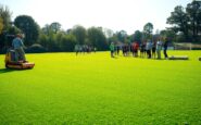 essential insights into the football foundations pitch replacement fund 1770211926
