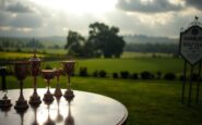 golf club members heartbroken over theft of beloved trophies 1770105902