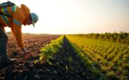 how uk international climate finance supports adaptation and lowcarbon growth 1771377532
