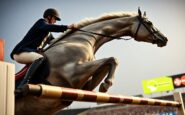 kenny and eddy blue triumph in csi5 wef challenge cup round 7 1771703012