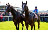 mark walsh and willie mullins celebrate grade 1 victory at leopardstown 1770031853