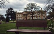 uncovering the royal familys links to the epstein scandal 1770805288