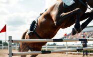 irish team take runners up spot at wellington csio4 nations cup 1772445954