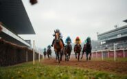 Losange Bleu wins at Auteuil while Home By The Lee is withdrawn