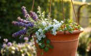 Four fragrant plants to elevate your garden experience