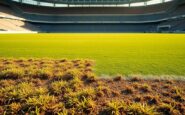 Pitch Inspection Results for June 2026: Playable Surfaces Revealed