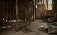 Shropshire Council Prosecutes Unlicensed Kennel Operator for Animal Neglect