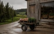 Discover the best farm shops in the UK for artisanal and local produce