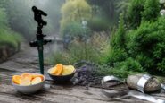 Effective and Kind Methods to Deter Cats from Your Garden