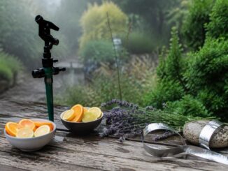 Effective and Kind Methods to Deter Cats from Your Garden