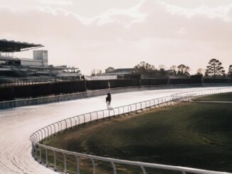 Group 3 Victories at Leopardstown: Isaac Newton and Ethical Diamond Triumph