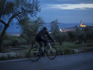 How Regional Film Funds Are Saving Italian Independent Cinema