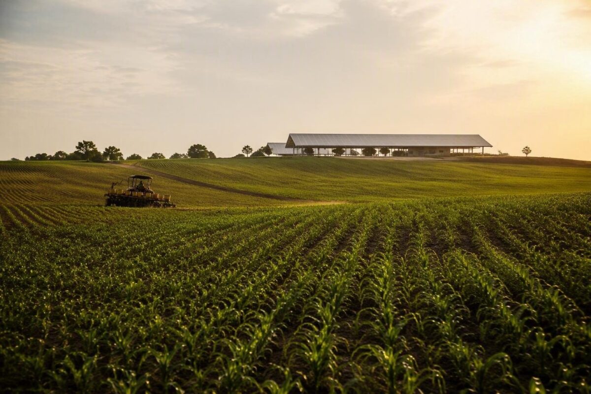 How Technological Advances and New Exporters Strengthen Food Security During El Niño