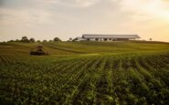 How Technological Advances and New Exporters Strengthen Food Security During El Niño