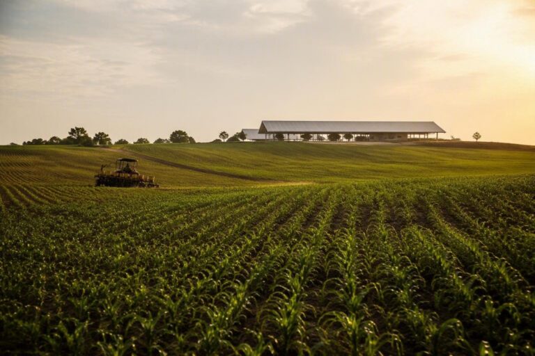 How Technological Advances and New Exporters Strengthen Food Security During El Niño