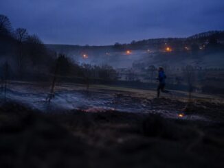 Labour's rewilding drive linked to record wildfires in England and Wales