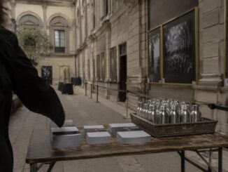 Mastering film festival etiquette for priority screenings and q&a sessions