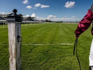Sky Bet Ebor Day at York: Top Contenders and Exciting Races