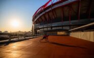 Wouter Vrancken's Hearts prepare for Europa League clash with Benfica