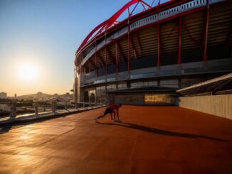 Wouter Vrancken's Hearts prepare for Europa League clash with Benfica