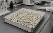 Alkermes’ ALKS 7290 cuts ADHD symptoms without heart risks