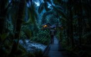 Exploring Costa Rica's Untamed Wilderness: Maquenque Eco-Lodge and Tortuguero Adventures