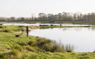From Humble Beginnings to Angling Haven: Drumtassie Fishery's Journey