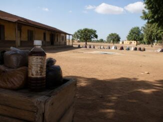 Herbal drink poisoning in Ondo kills 49, hospitals treat 170