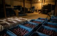 UK to Prohibit Imports from Illegal Israeli Settlements in Palestine