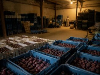 UK to Prohibit Imports from Illegal Israeli Settlements in Palestine
