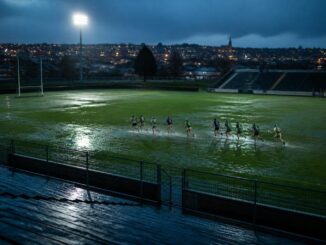 Eight-team Leinster hurling overhaul set for vote at 2027 Congress