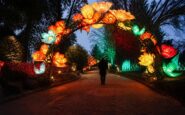 Royal Botanic Garden Edinburgh's 10-year Christmas trail dazzles visitors