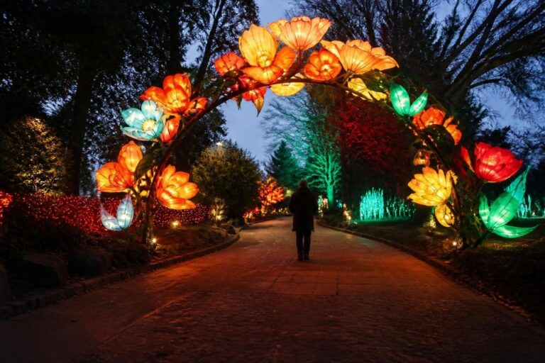 Royal Botanic Garden Edinburgh's 10-year Christmas trail dazzles visitors
