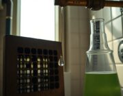 From Philadelphia to Harlem: The Evolution of Legionnaires' Disease