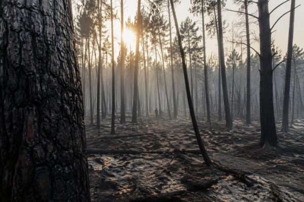 France and Spain Wildfires: The Human and Environmental Toll